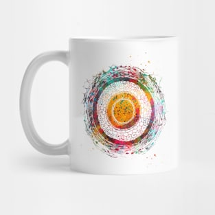 Cross Section of Human Hair Mug